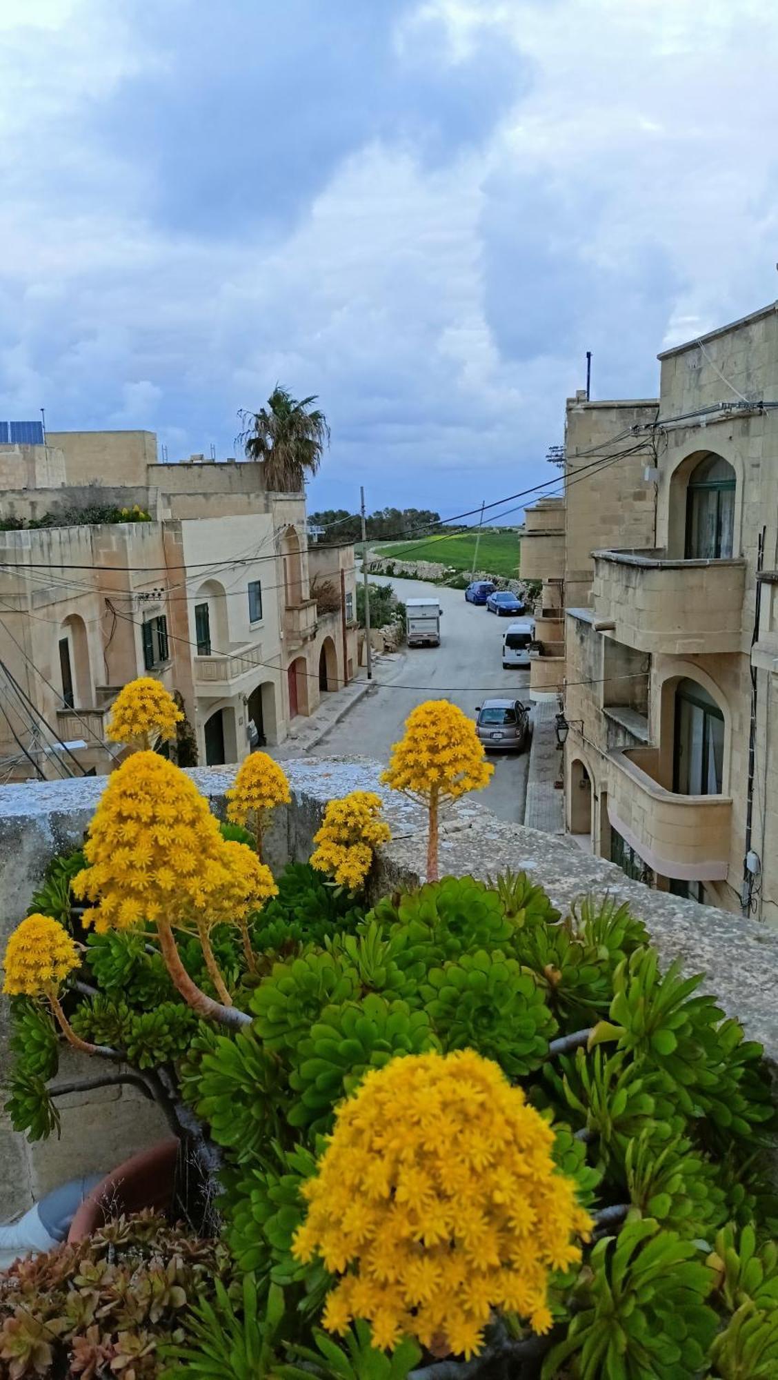 Arthome - Guest Rooms Gharb  Exterior photo